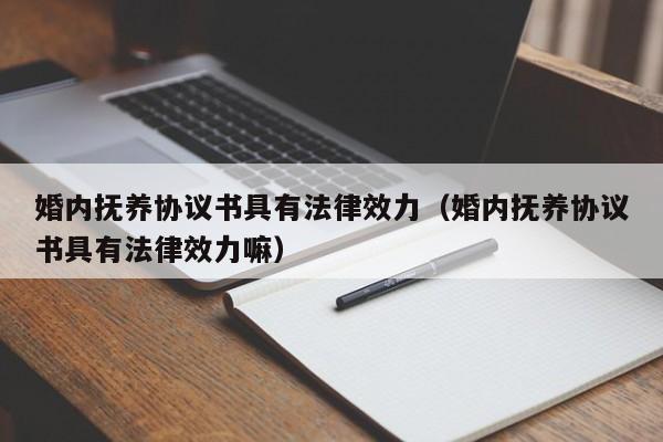 婚内抚养协议书具有法律效力(婚内抚养协议书具有法律效力嘛)