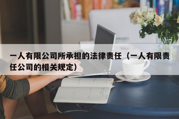 一人有限公司所承担的法律责任(一人有限责任公司的相关规定)