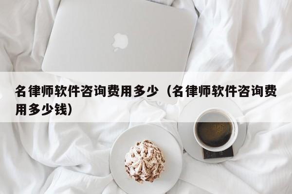 名律师软件咨询费用多少(名律师软件咨询费用多少钱)