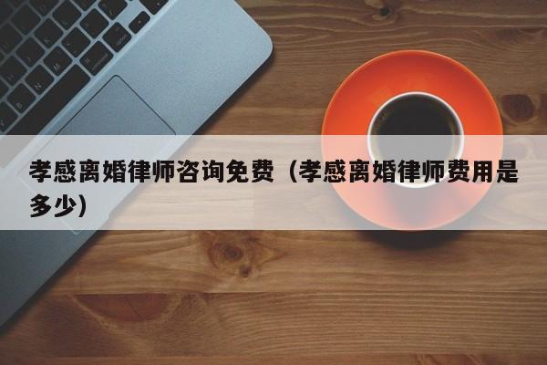 孝感离婚律师咨询免费(孝感离婚律师费用是多少)